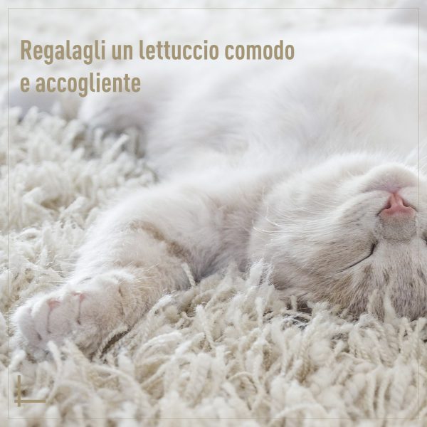 Letto per Gatti in Rattan con Cuscino in Lino e Cotone Beige Ф56 x 35 cm