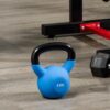 Kettlebell 8 kg per Allenamento Bicipiti e Spalle in Metallo e Neoprene, 18x11x20cm, Blu