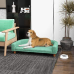 Divano per Cani di Taglia Grande con Gambe Rialzate e Cuscino Sfoderabile, 98x67x25 cm, Verde Chiaro