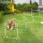 Set 4 Ostacoli Agility Dog per Addestramento Cani con Sacca di Trasporto