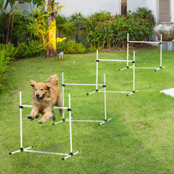 Set 4 Ostacoli Agility Dog per Addestramento Cani con Sacca di Trasporto